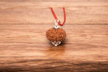 10 Mukhi Rudraksha / Ten Face Rudraksh Nepal Bead Lab Certified