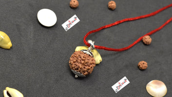 8 Mukhi Rudraksha Eight Face Rudraksh Nepal Bead Lab Certified