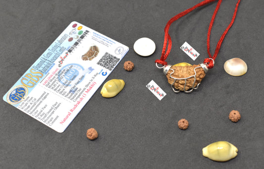 1 Mukhi Rudraksha Indian / Ek Mukhi Rudraksh / One Face Rudraksha Original Top Quality