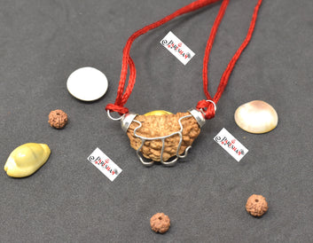1 Mukhi Rudraksha Indian / Ek Mukhi Rudraksh / One Face Rudraksha Original Top Quality