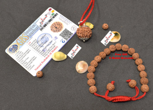 8 Mukhi Rudraksha Eight Face Rudraksh Nepal Bead Lab Certified