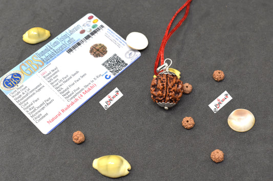 4 Mukhi Rudraksha / Four Face Rudraksh Nepal Bead 100 % Original Lab Certified