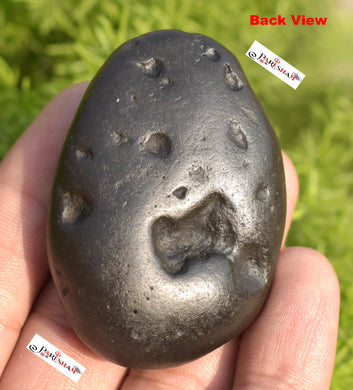 Sudarshan Shaligram / Sudershan Saligram Stone Ammolite Gandaki Nepal MSL51