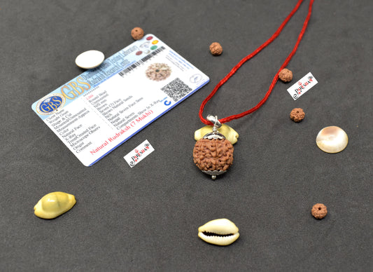 7 Mukhi Rudraksha / Seven Face Rudraksh Nepal Bead 100 % Original Lab Certified
