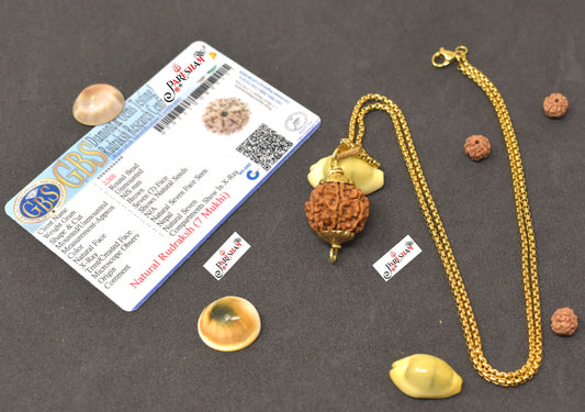 7 Mukhi Rudraksha / Seven Face Rudraksh Nepal Bead Gold Plated 100 % Original Lab Certified