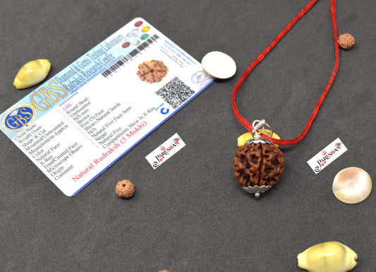 5 Mukhi Rudraksha / Five Face Rudraksh Nepal Bead 100 % Original Lab Certified