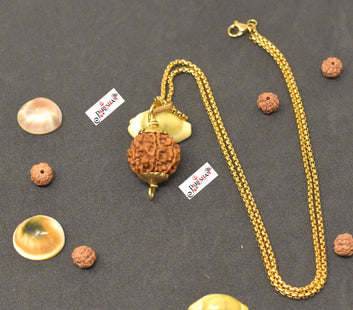 7 Mukhi Rudraksha / Seven Face Rudraksh Nepal Bead Gold Plated 100 % Original Lab Certified