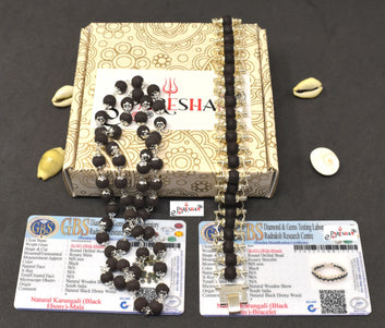 Silver Plated Karungali Mala + Karungali Bracelet Combo For Men