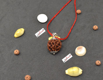 5 Mukhi Rudraksha / Five Face Rudraksh Nepal Bead 100 % Original Lab Certified