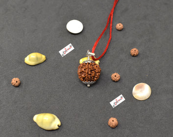 6 Mukhi Rudraksha / Six Face Rudraksh Nepal Bead 100 % Original Lab Certified